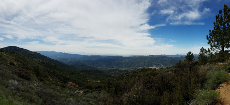 What a view